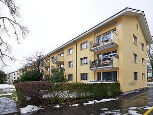 Hofwiesenstrasse 217, 219, 221