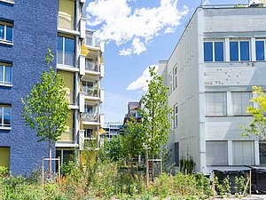 Hädrichstrasse 12 / Flurstrasse 115
