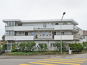 Neunbrunnenstrasse 259 / Hürststrasse 64